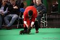 Crufts2011_2 582